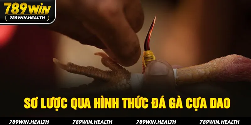 Sơ lược qua hình thức đá gà cựa dao